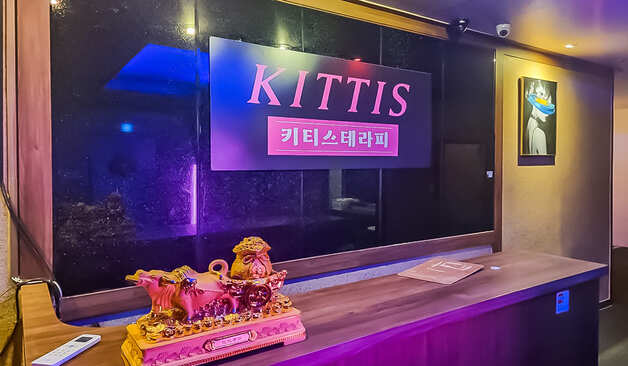 관양동 키티스테라피 카운터
